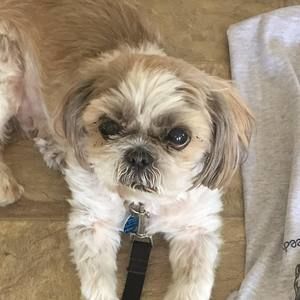 Meet your Posher, Jim